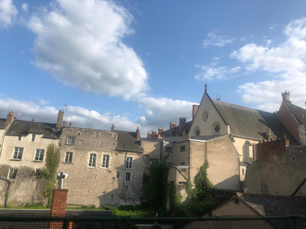 Cote Chateau - Grand Appartement Au Coeur De Blois Eksteriør bilde